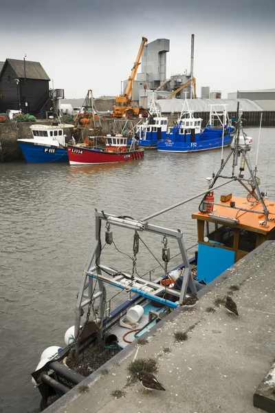 Whitstable portu — Zdjęcie stockowe