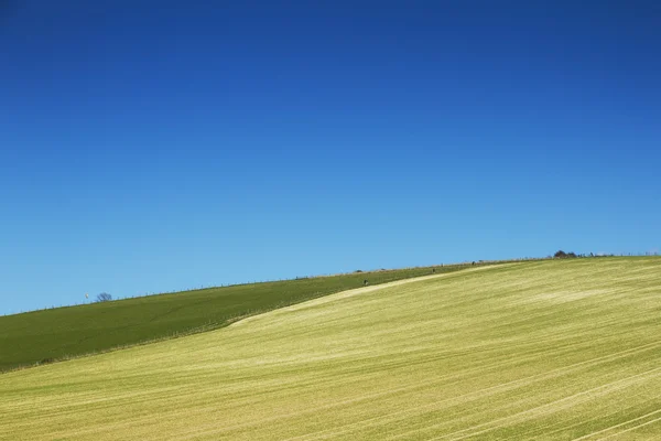 Blue sky over farmland — Stock Photo, Image