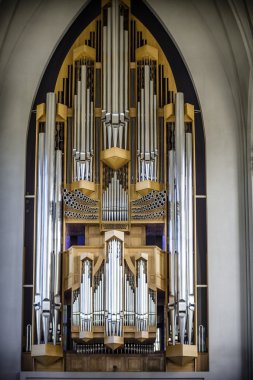 İzlanda'nın başkenti Reykjavik'teki Hallgrimskirkja kilisesi