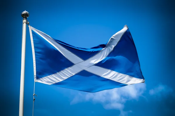 Bandera de Escocia —  Fotos de Stock