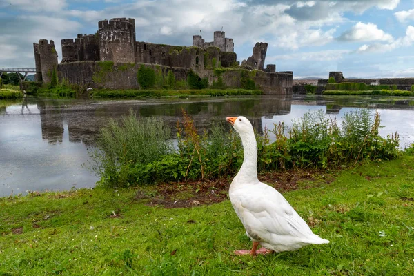 Caerphilly Castle Über Seinen Burggraben Wales Gesehen — Stockfoto