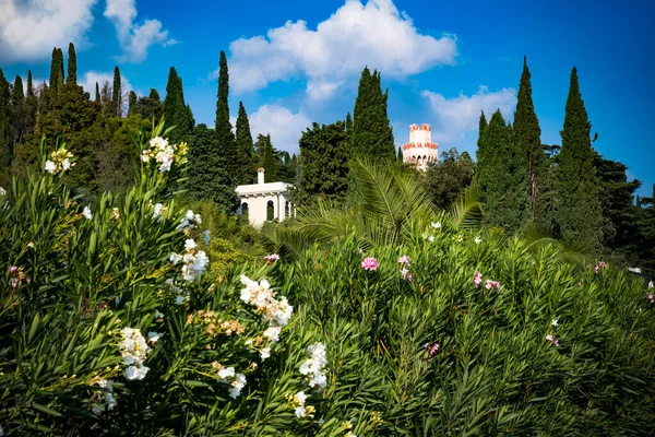 Scena Malcesine Sulla Sponda Orientale Del Lago Garda Italia — Foto Stock