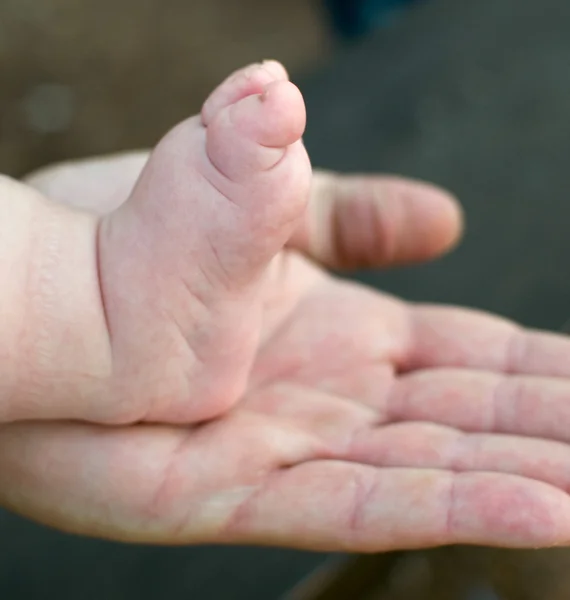 Pequenos pés de bebê na palma de um homem . — Fotografia de Stock