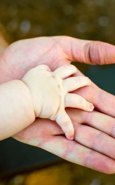 Руки ребенка в руках отца.  . — стоковое фото