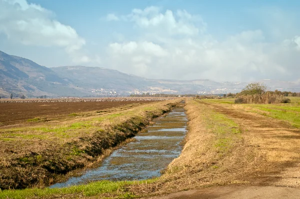 Paisagem da Alta Galileia. Israel . Imagem De Stock