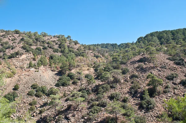 Viewed from Mountain lookout . — Stock Photo, Image