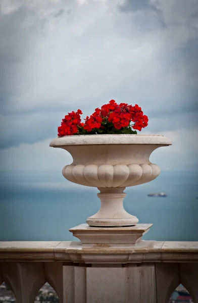 花の花瓶 ロイヤリティフリーのストック画像