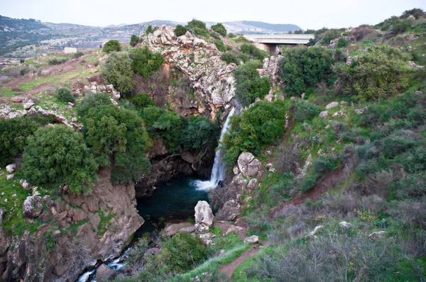 Vorfrühling in Israel. Februar. — Stockfoto