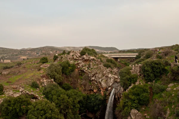 Early spring in Israel. February. — Stock Photo, Image