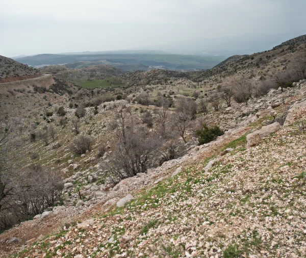 Hermon, golanische Höhen und Galiläa. Frühling . — Stockfoto
