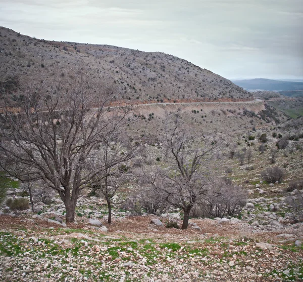 Monte hermon, golan tepeleri ve Celile. Bahar . — Stok fotoğraf