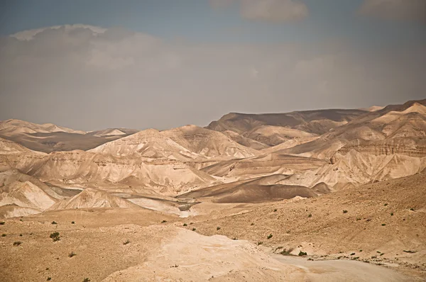 Montagne desertiche . — Foto Stock