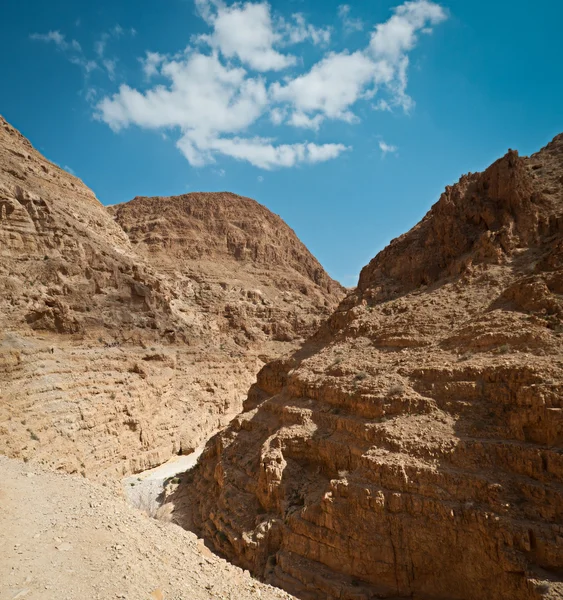 砂漠の山 . — ストック写真