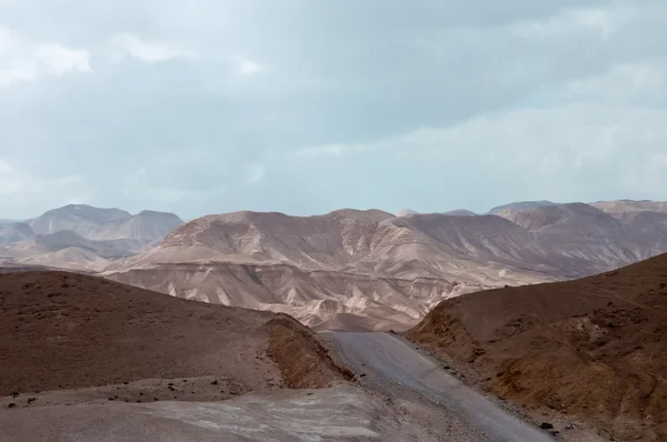 Wild desert road landscape. — Stock Photo, Image