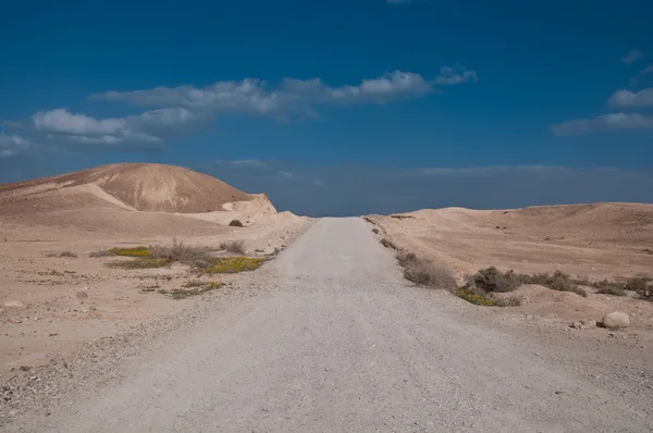 Wild desert road landscape. — Stock Photo, Image