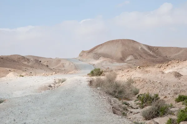 Wild desert road landscape. — Stock Photo, Image