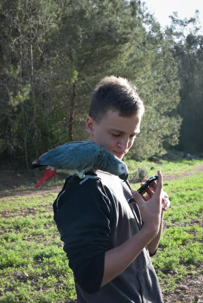 Ragazzo adolescente con un pappagallo grigio Jaco . — Foto Stock