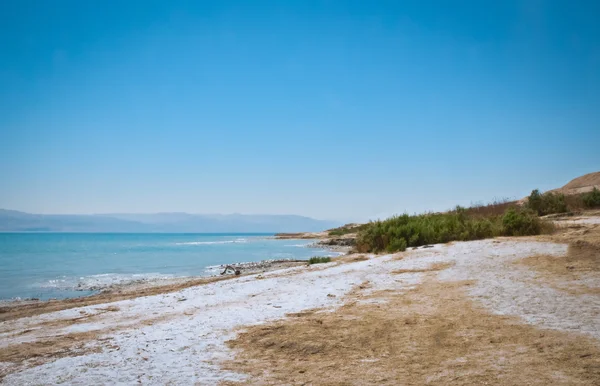 Döda havet, israel. — Stockfoto