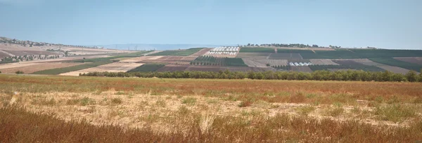 Alturas del Golán  . —  Fotos de Stock