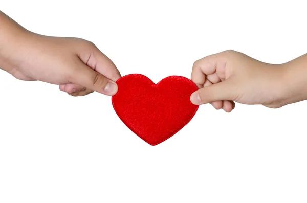 Dos manos hermanas sosteniendo el corazón sobre fondo blanco — Foto de Stock