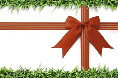 sınır taze yeşil çimenlerin üzerinde beyaz ve kırmızı yay