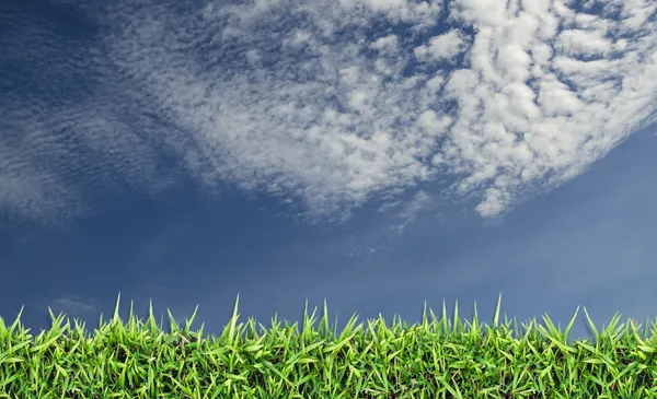 Champ vert, herbe, ciel bleu et nuages blancs — Photo