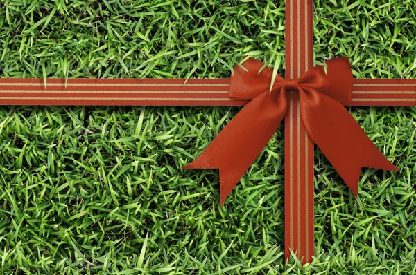 Red bow on  fresh green grass background