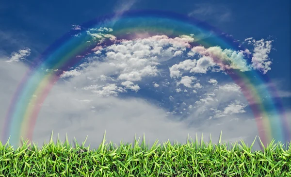 Champ vert, herbe, ciel bleu et nuages blancs — Photo