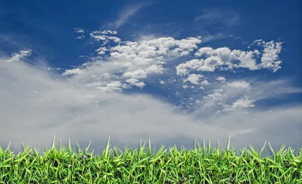 Champ vert, herbe, ciel bleu et nuages blancs — Photo