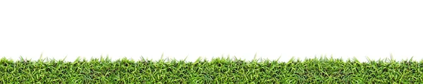 Fond d'herbe sans couture isolé sur blanc — Photo