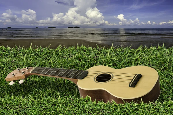 Ukulele sobre hierba verde fresca con cielo azul y mar —  Fotos de Stock