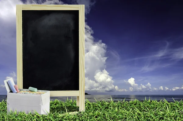 Ukelele met blauwe hemel en lege schoolbord op groen gras — Stockfoto