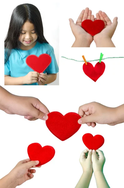 Collection of Red heart in the hands on white background — Stock Photo, Image