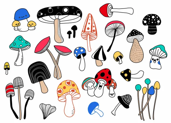 Mushrooms Set Hand Drawn Style Illustration — Stock Photo, Image