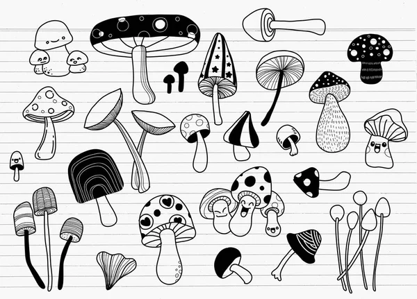 Champignons Prêts Illustration Dessinée Main — Image vectorielle