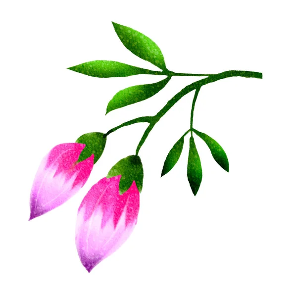 Acuarela Ilustración Decorativa Flores — Vector de stock
