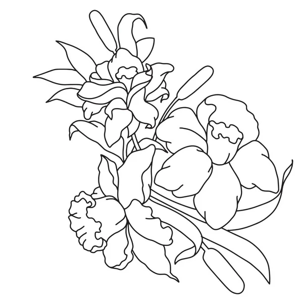 Line Detail Flowers Floral Sketch Flower Illustration — Vector de stock