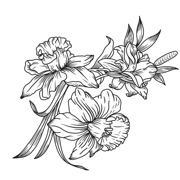 Çizgi Detaylı Çiçekler, Çiçek Çizimi İllüstrasyonu