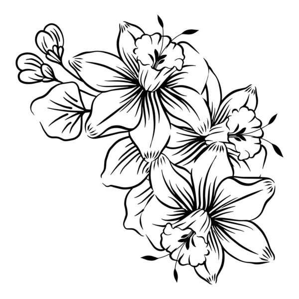 Flores Dibujadas Mano Aisladas Sobre Fondo Blanco — Vector de stock