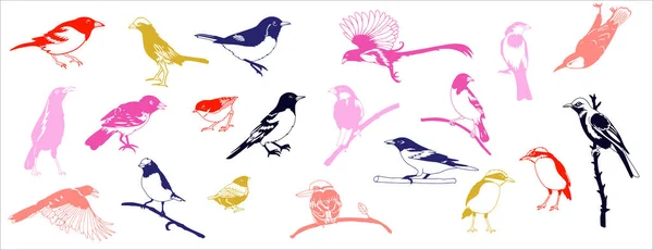 Zestaw Ręcznie Rysowany Szkic Czarno Białe Ptaki Ilustracja Wektora Pojedynczy — Wektor stockowy