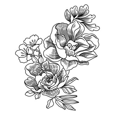 Beyaz arka planda el çizimi çiçek yaprakları izole.