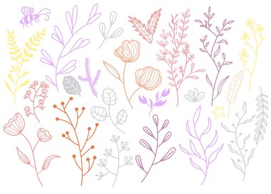 Farklı el çizimi ağaç yaprakları koleksiyonu