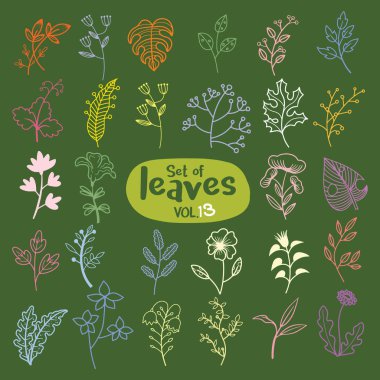 Bir sıra halinde çizilmiş bir grup yaprak. Dekoratif elementler, her biri ayrı bir tabaka üzerinde süslü güzellikler ve zarafetle çiçek açan boyama kitabı için elde çizilmiş.