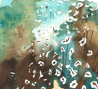 , mavi, beyaz çiçekler, 