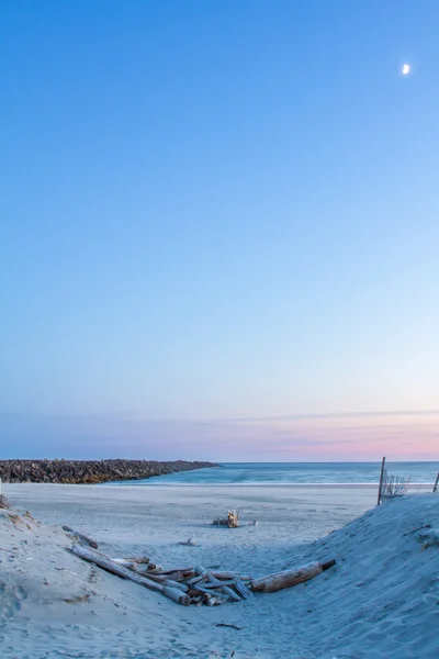 Treibholz sammelt sich in sandiger Strandrinne — Stockfoto