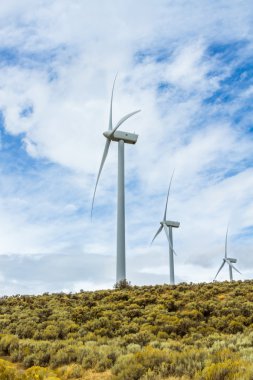 Yel enerji rüzgarlı bölgelerde ayıklayın..