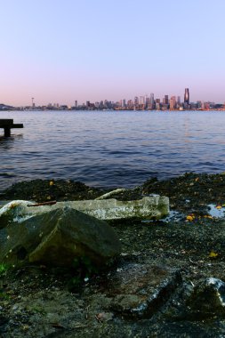 Seattle cityscape alacakaranlıkta