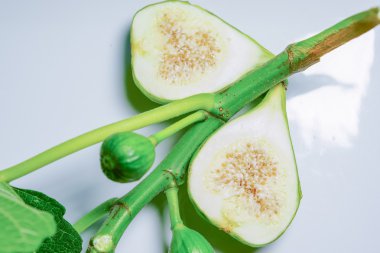 lezzetli tatlı bal incir