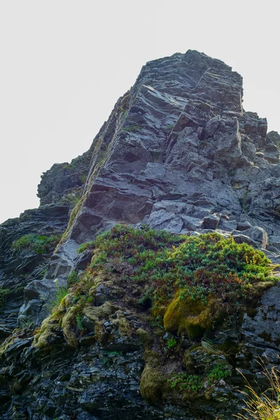 Jagged Rock Outcro — Stock Photo, Image