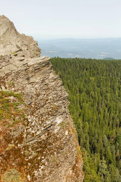 Jagged Rock Cliff com vista para Gorge — Fotografia de Stock